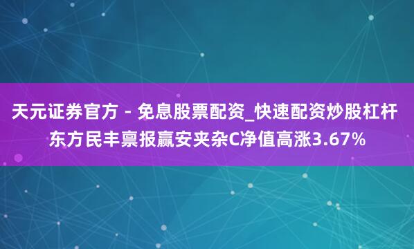 天元证券官方 - 免息股票配资_快速配资炒股杠杆 东方民丰禀报赢安夹杂C净值高涨3.67%